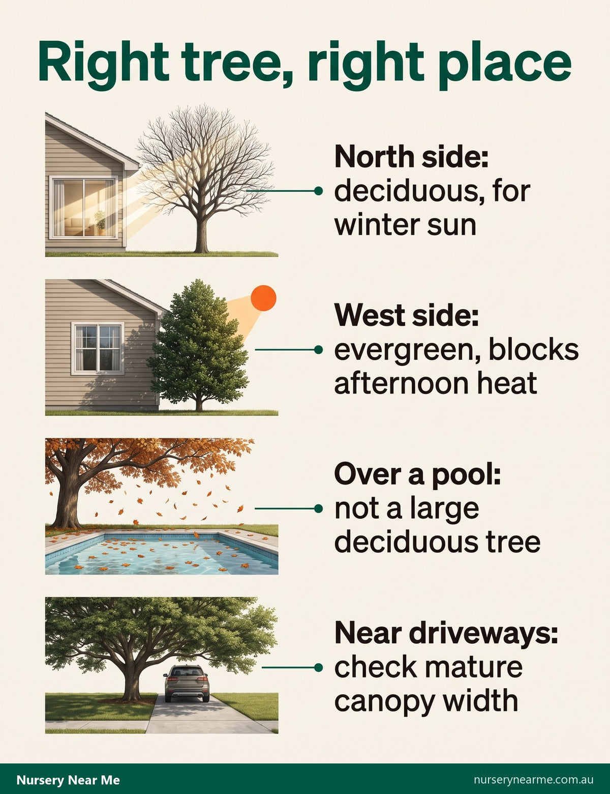 Diagram of tree placement: deciduous on the north side, evergreen on the west, none over pools, canopy checked near driveways