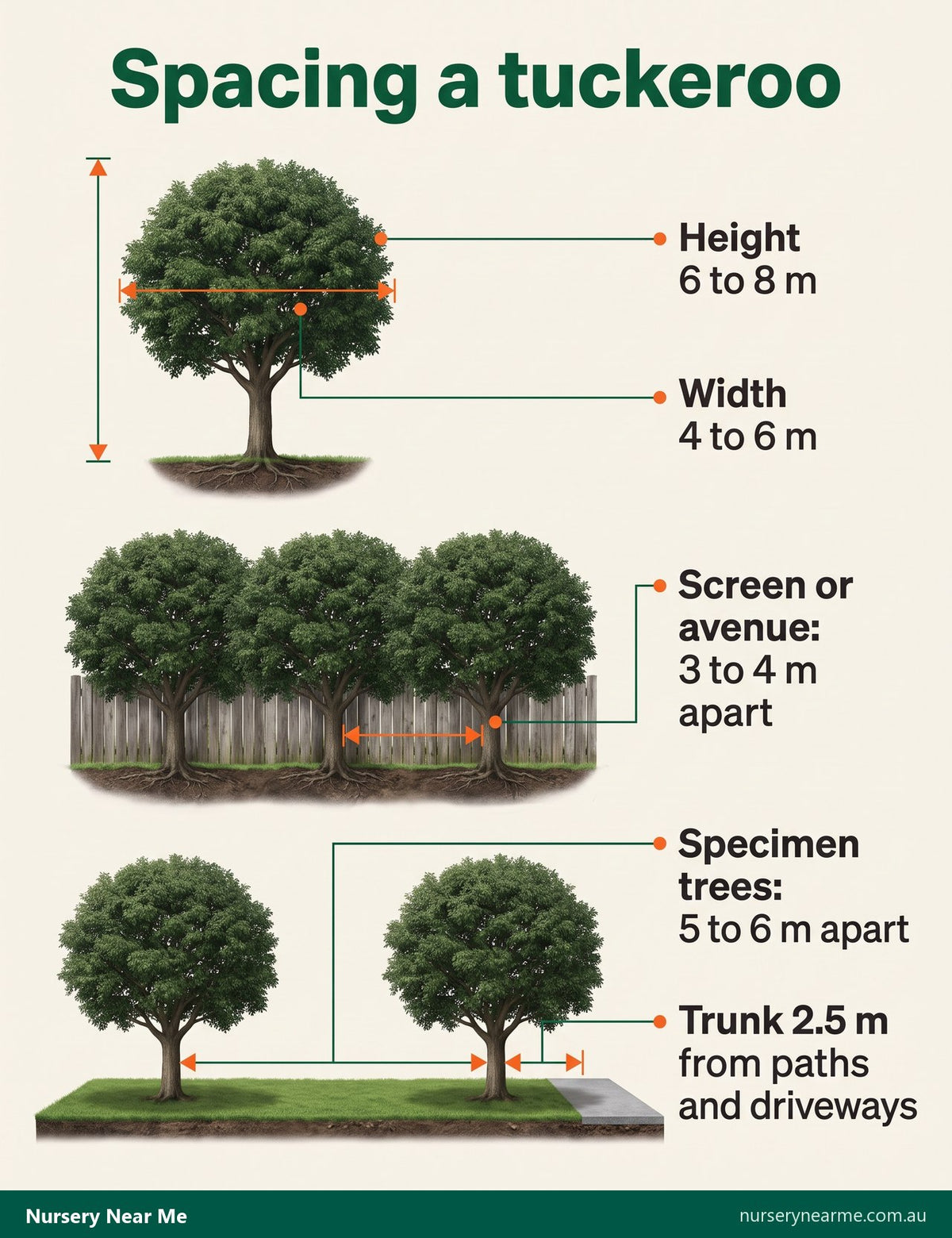 Diagram of tuckeroo spacing: 3 to 4 m for a screen, 5 to 6 m for specimens, 2.5 m from paths