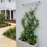 Diamond Wire Trellis Kit for Climbing Plants, Bright
