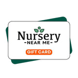 A digital eGift Card with a leaf logo on a calming white and green background, highlighting Nursery Near Me, ideal for gardening accessory enthusiasts.-Nursery Near Me