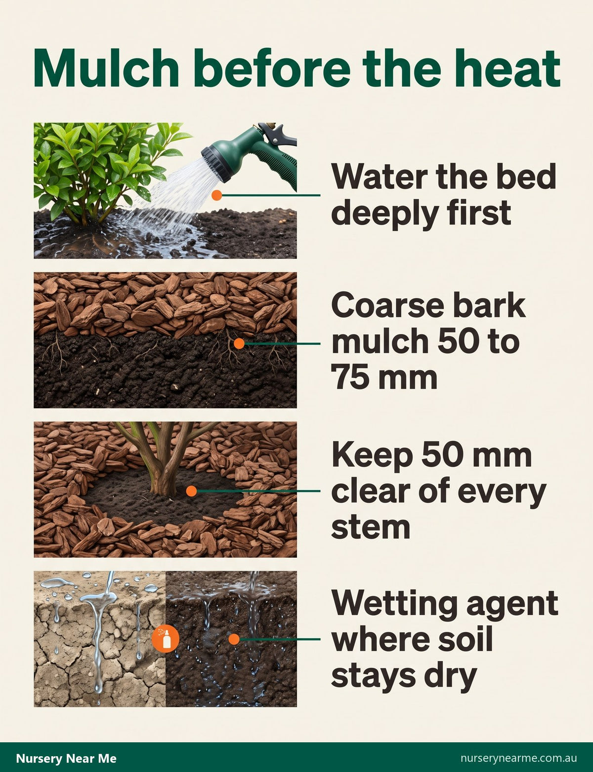Infographic of the November mulching routine: water first, mulch depth, clear stems, wetting agent