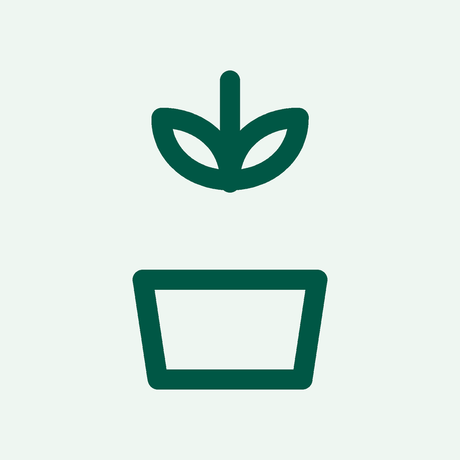 Professional planting installation