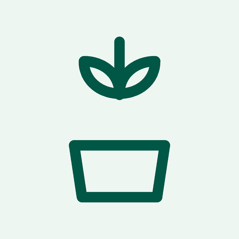 Professional planting installation