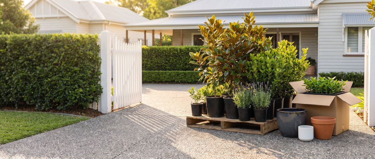 A complete Nursery Near Me order on the driveway: potted plants on a pallet, a box of tubestock and garden pots
