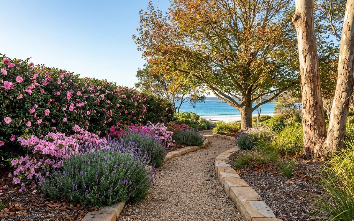 A Shoalhaven garden with camellias, azaleas, lavender and a liquidambar