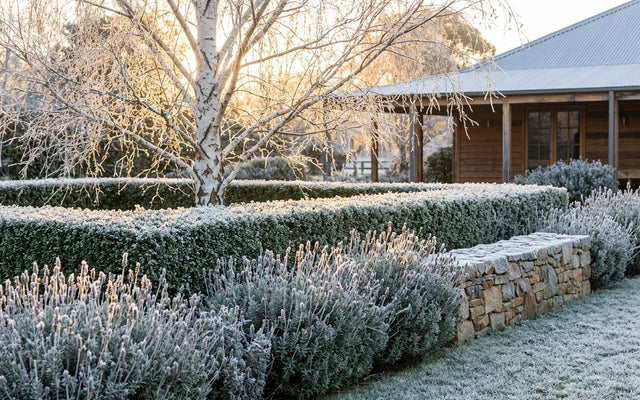 Canberra, Tasmania & cool inland