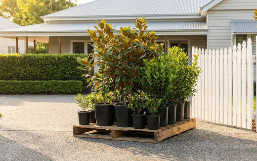 How your plants travel