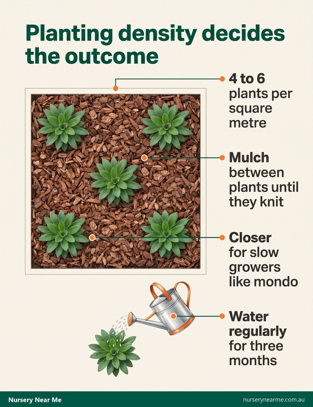 Plan diagram of ground cover planting density: five plants in one square metre with mulch between