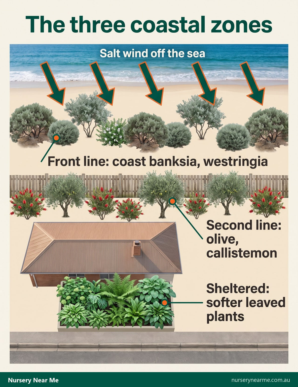 Plan of a coastal block showing the front line, second line and sheltered planting zones
