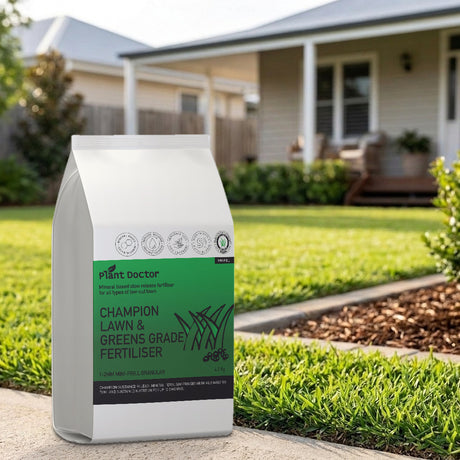 Plant Doctor Champion Lawn and Greens Mini-Prill Fertiliser with Iron