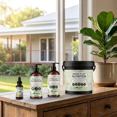 Plant Doctor Indoor Plants Improver Bundle, Liquids and Granular