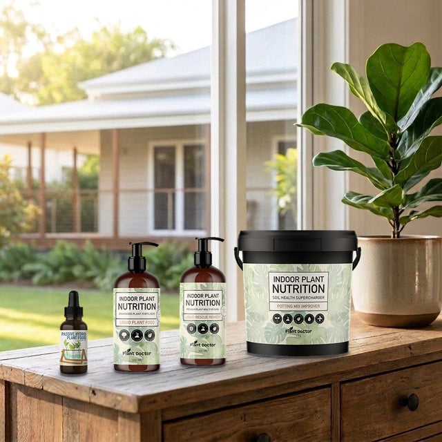 Plant Doctor Indoor Plants Improver Bundle, Liquids and Granular