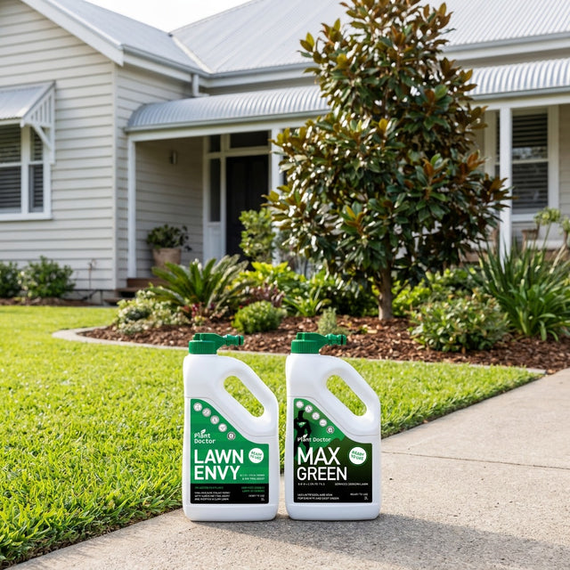 Plant Doctor Lawn Envy and MaxGreen 2L Hose-On Lawn Bundle
