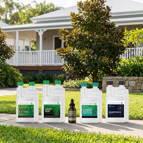 Plant Doctor Lawn Lovers Pro Pack 5-in-1 Lawn Care Bundle