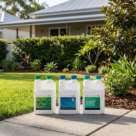 Plant Doctor Lawn Lovers Starter Bundle, Three-Part Liquid Lawn Kit