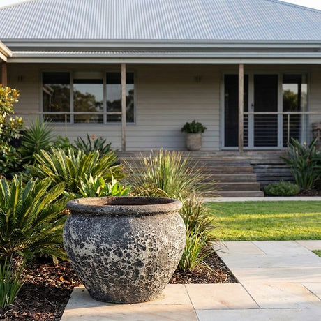 Pompeii Belly Lotus Pot - Various sizes available