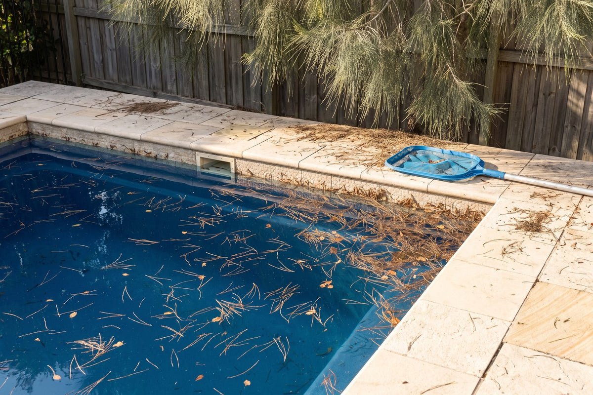 Pool corner covered in fine she-oak needles drifting toward the skimmer box