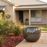 Premium Glaze Ball Planter - Various sizes available - Heavy Metal