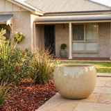 Premium Glaze Ball Planter - Various sizes available - Sand