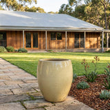 Premium Glaze Tall Egg Planter - Various sizes available