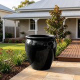 Premium Glaze Tree Planter - Various sizes available - Black