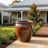 Premium Glaze Tree Planter - Various sizes available - Copper