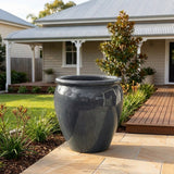 Premium Glaze Tree Planter - Various sizes available - Graphite