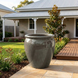 Premium Glaze Tree Planter - Various sizes available - Heavy Metal