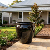 Premium Glaze Tree Planter - Various sizes available - Lava