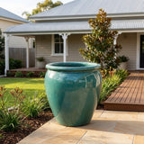Premium Glaze Tree Planter - Various sizes available - Opal Green