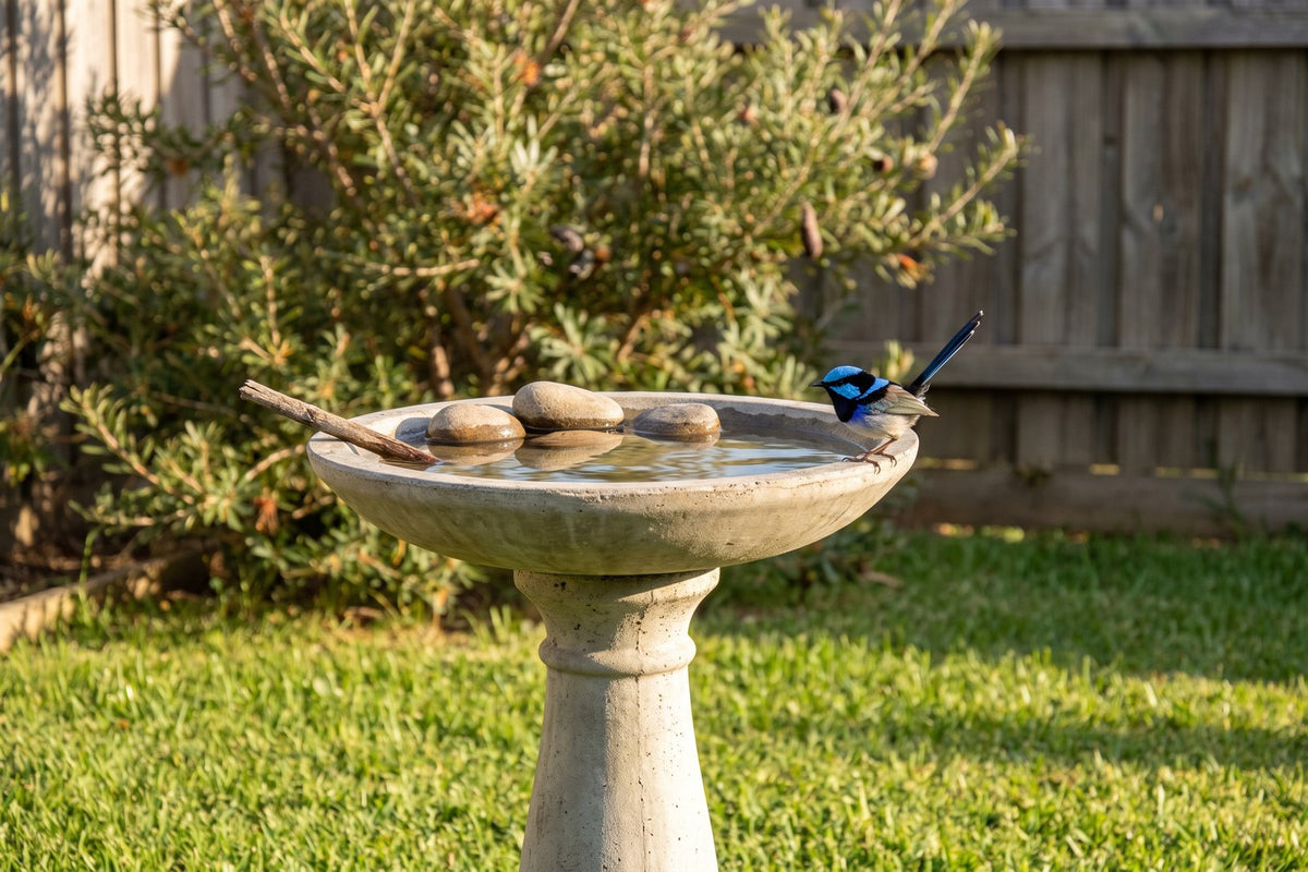 Raised bird bath with stones and a stick in the water and a fairy-wren on the rim