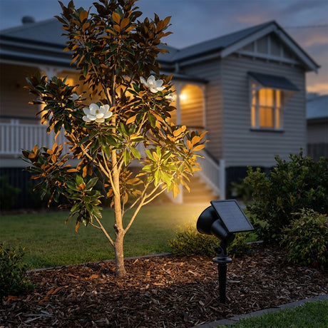 Solar Garden Spot Light