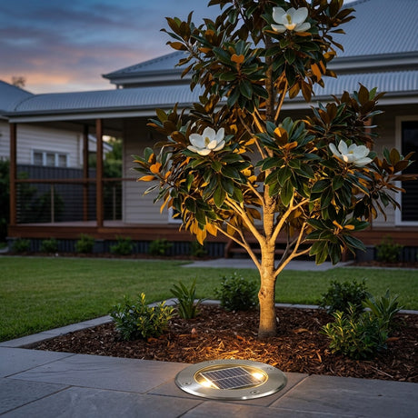 Solar In-Ground Uplighter