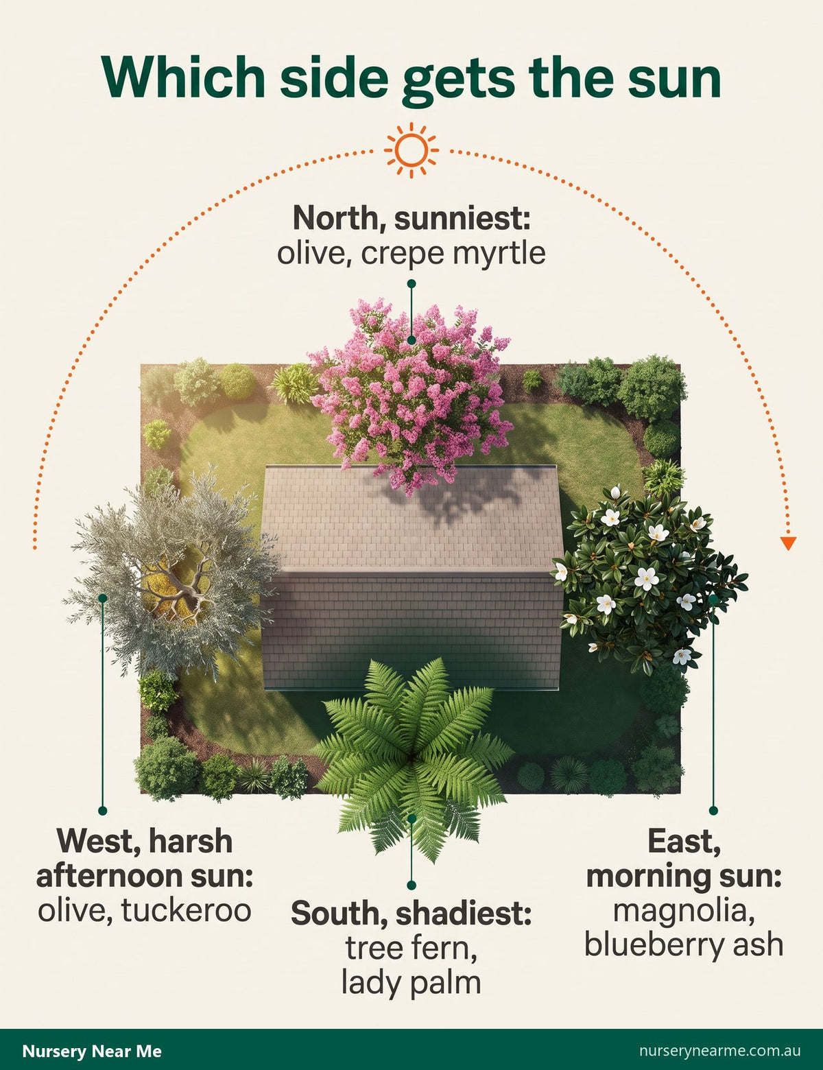 Sun aspect diagram of an Australian house with a feature tree suggested for each side